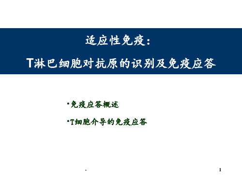 T细胞介导的细胞免疫应答PPT课件