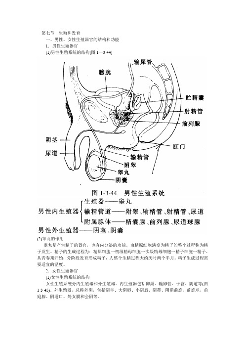 生殖和发育男性女性生殖器官的结构和功能男性生殖