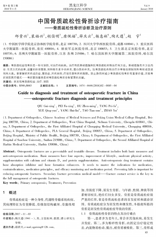 中国骨质疏松性骨折诊疗指南——骨质疏松性骨折诊断及治疗原则