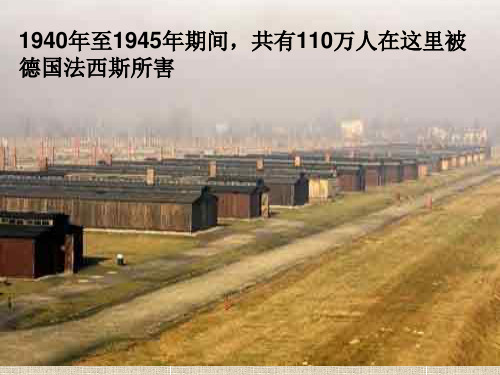 [课件]第十课《短新闻两篇》之《奥斯维辛没有什么新闻》11