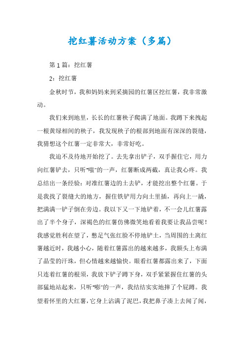 挖红薯活动方案(多篇)