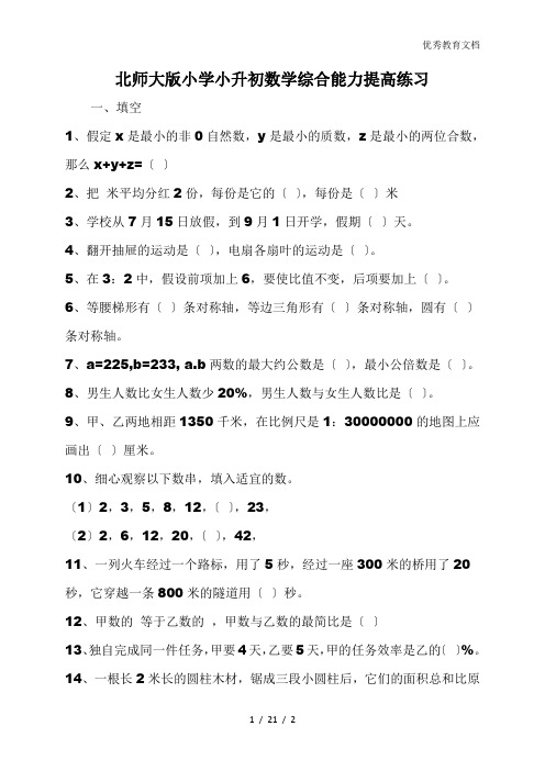 北师大版小学小升初数学综合能力提高练习