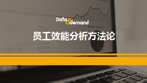 人力资源效能分析(方法论与案例)