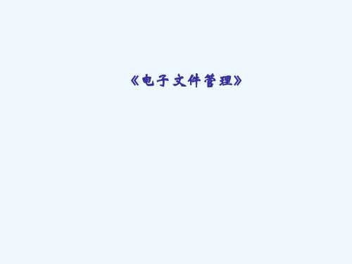 第三章电子文件的类型与格式(全)