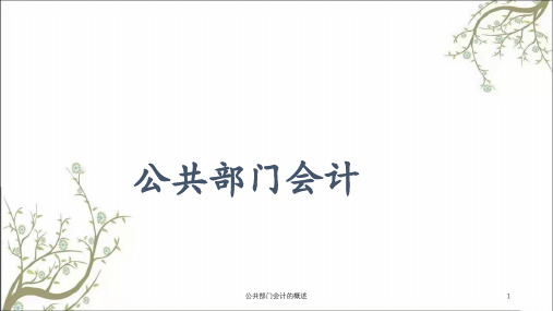 公共部门会计的概述课件