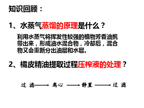 6.2胡萝卜素的提取