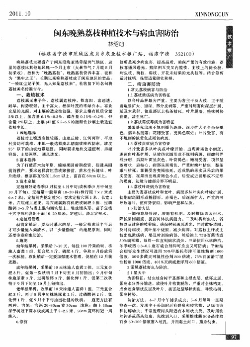 闽东晚熟荔枝种植技术与病虫害防治
