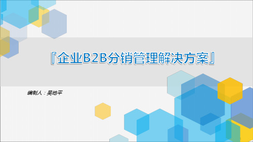 企业B2B分销管理平台建设方案
