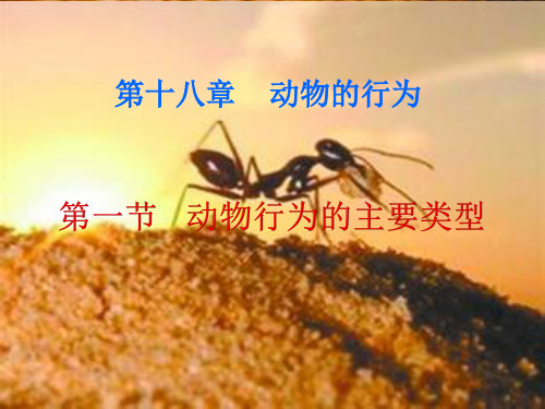 苏教版生物八上6.18.1 动物行为的主要类型 课件(共18张PPT)