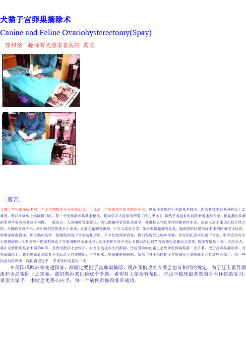 犬猫子宫卵巢摘除术