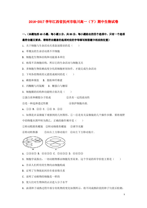 江西省抚州市临川区高一生物下学期期中试卷(含解析)