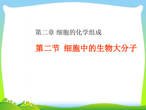 细胞中的生物大分子_2-课件