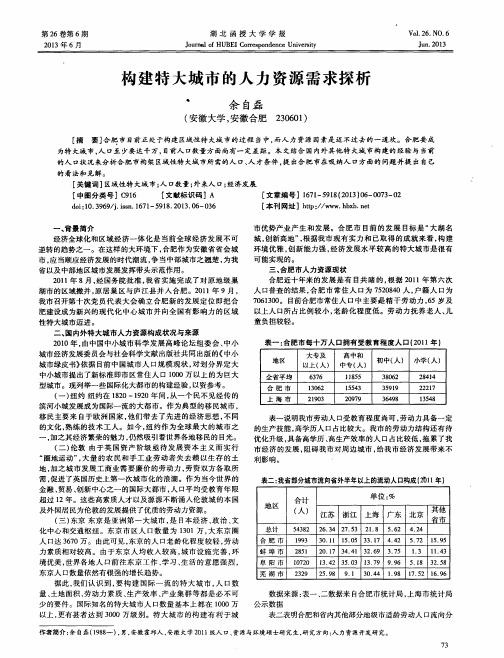 构建特大城市的人力资源需求探析