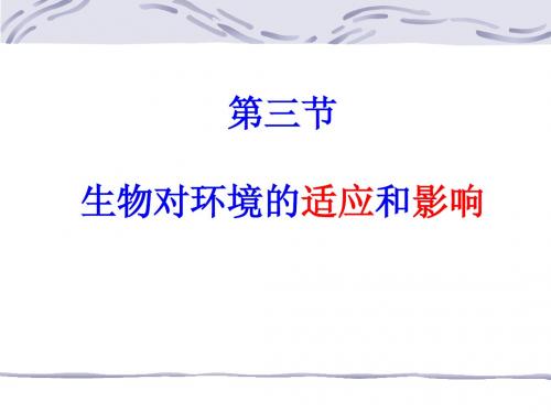 初一生物对环境的适应和影响课件