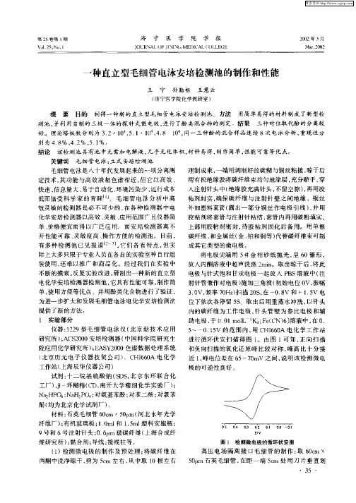 一种直立型毛细管电泳安培检测池的制作和性能