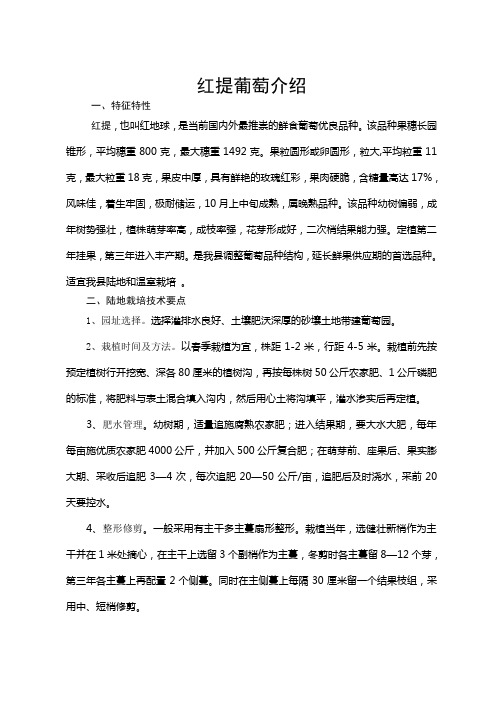 红提葡萄介绍