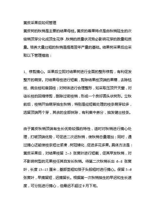 黄皮采果后如何管理