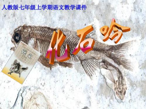 化石吟》上课用课件