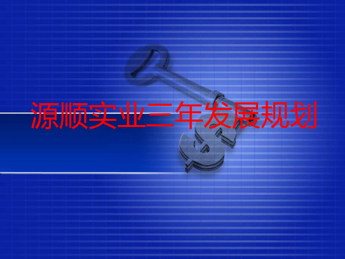 某实业公司三年发展规划教材(PPT 45页)