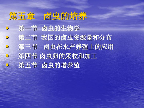 第五章卤虫的培养