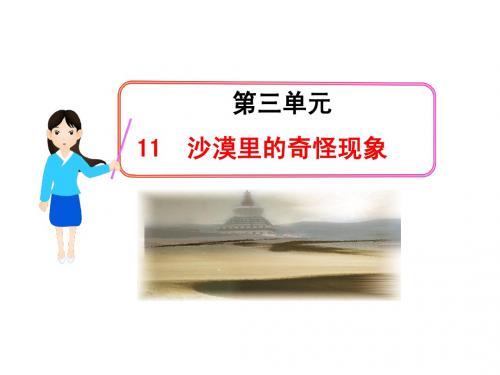 3.11沙漠里的奇怪现象 课件(苏教版八年级下)