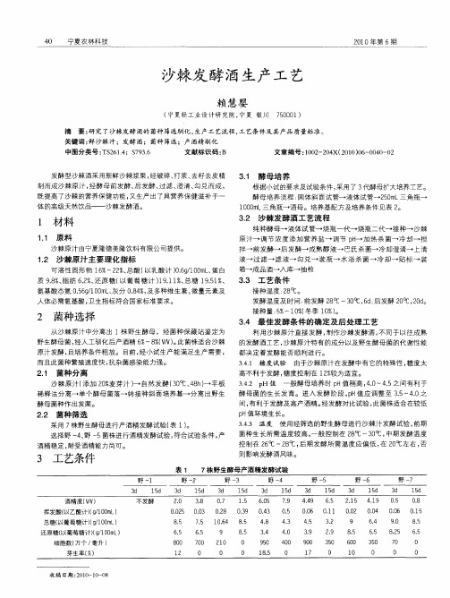 沙棘发酵酒生产工艺