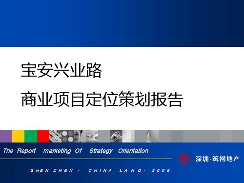 兴业路项目定位报告.PPT课件