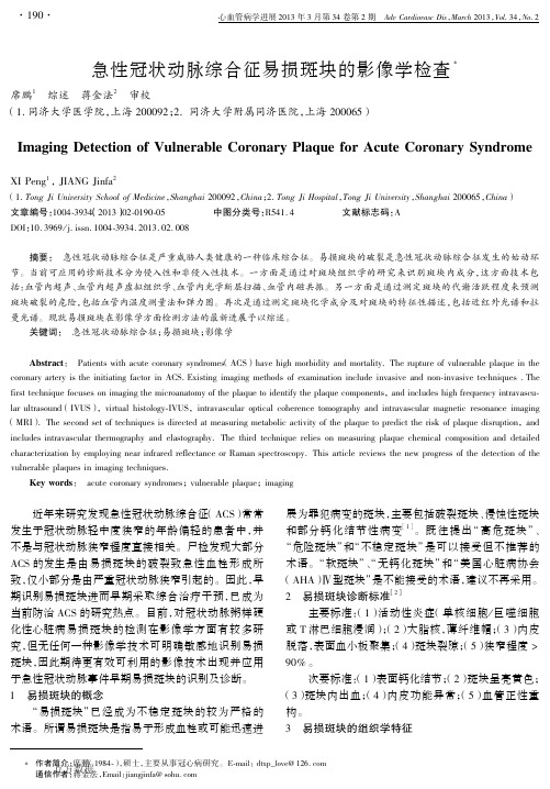 2013急性冠状动脉综合征易损斑块的影像学检查