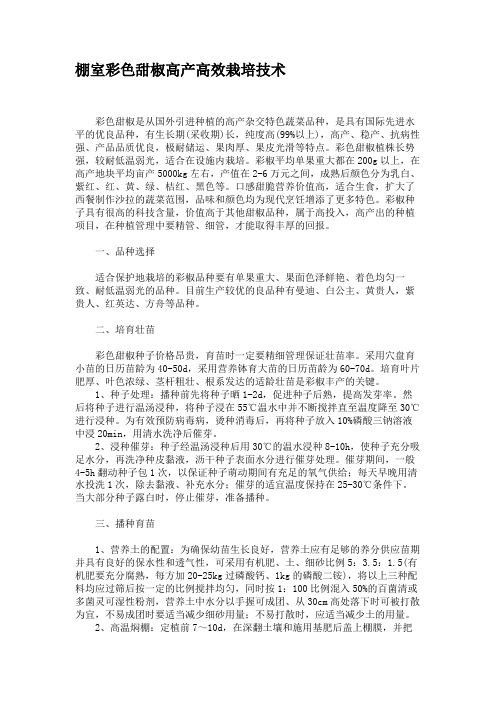 棚室彩色甜椒高产高效栽培技术汇总