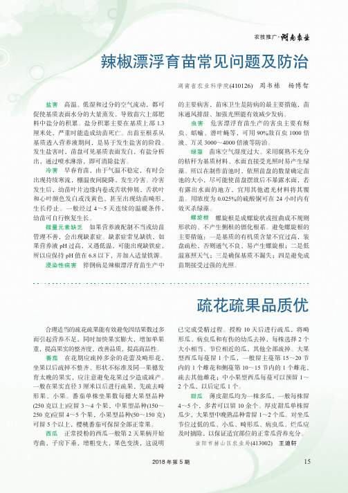 辣椒漂浮育苗常见问题及防治