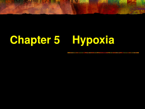病理生理学课件：Chapter 5 Hypoxia