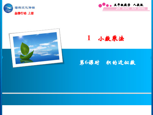 1  第6课时 积的近似数