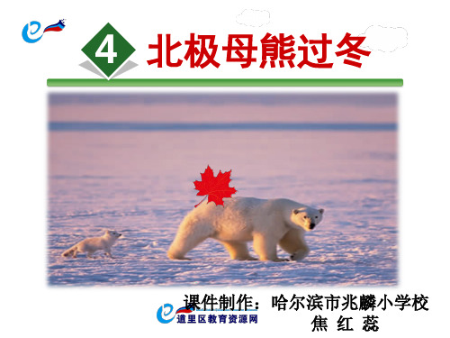 《北极母熊过冬》
