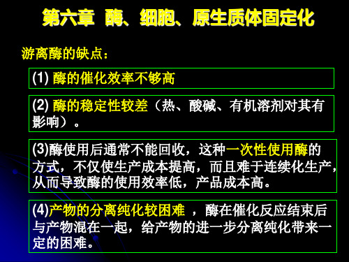 酶与细胞固定化PPT课件