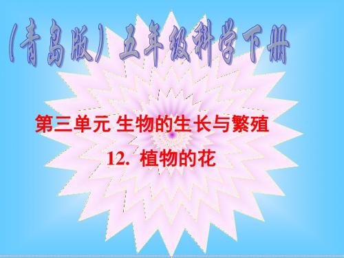 五年级科学下册课件_植物的花_1.