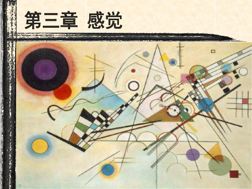 心理学-感觉