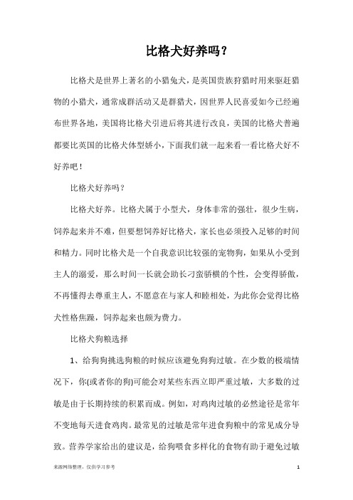 比格犬好养吗？