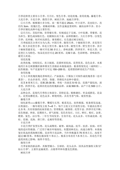 月季花语