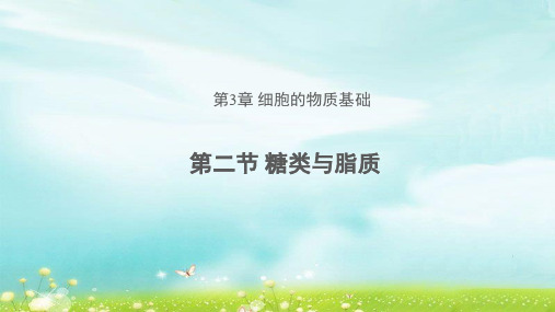《第二节 糖类与脂质》公开课教学课件【北师大高中生物必修1】