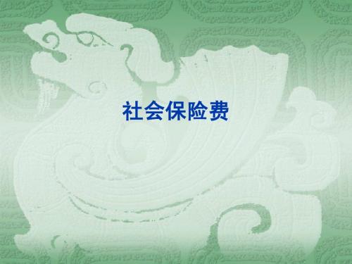 社保险费---幻灯片