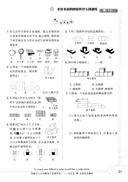 多姿多彩的图形世界专题训练