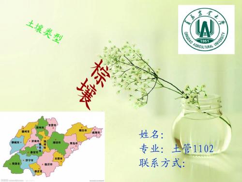 土壤学ppt作业