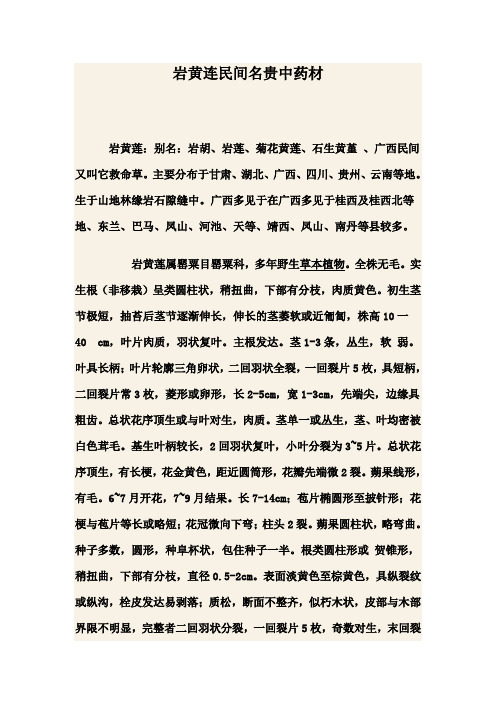 岩黄连