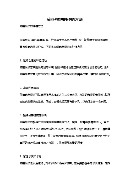 碗莲根块的种植方法