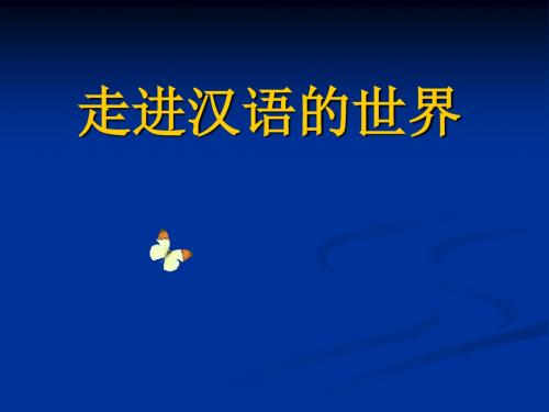 走进汉语的世界ppt实用课件10
