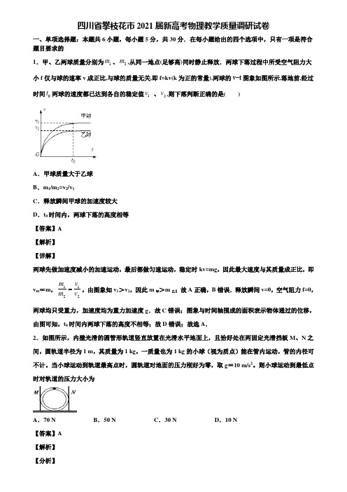 四川省攀枝花市2021届新高考物理教学质量调研试卷含解析