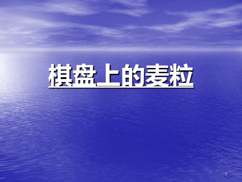 棋盘上的麦粒ppt课件