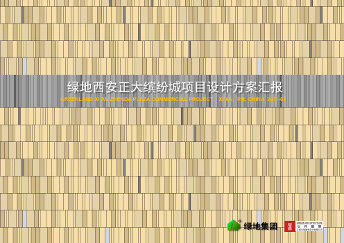 绿地西安正大缤纷城项目(精)