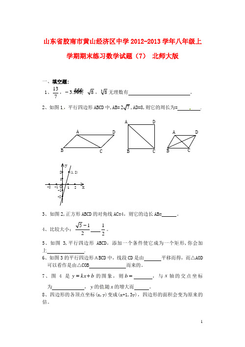 山东省胶南市黄山经济区中学八年级数学上学期期末练习