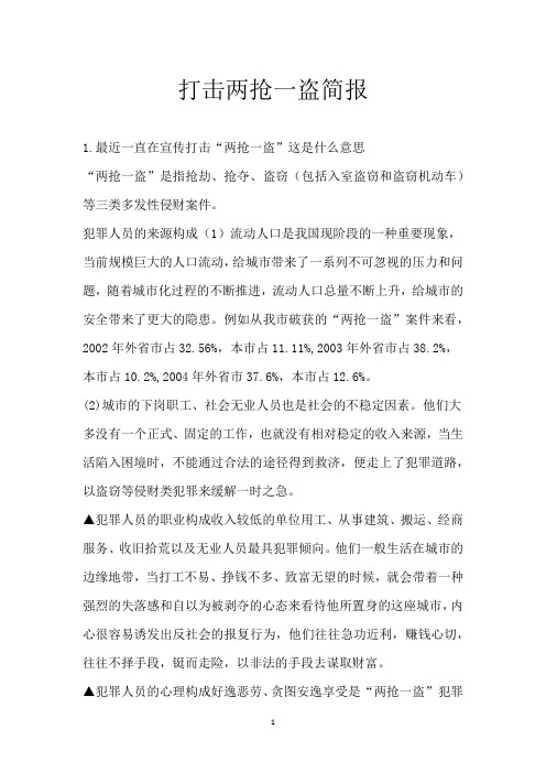 打击两抢一盗简报